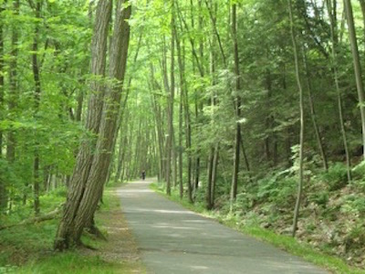 https://mwvrecpath.org/uploads/images/Home_Columns_400x300/Path with trees 400.jpg